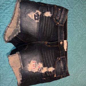 Torrid Shorts